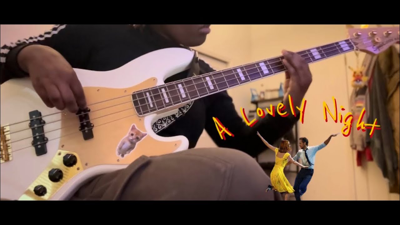 A Lovely Night - La La Land (Bass Cover) ❤️