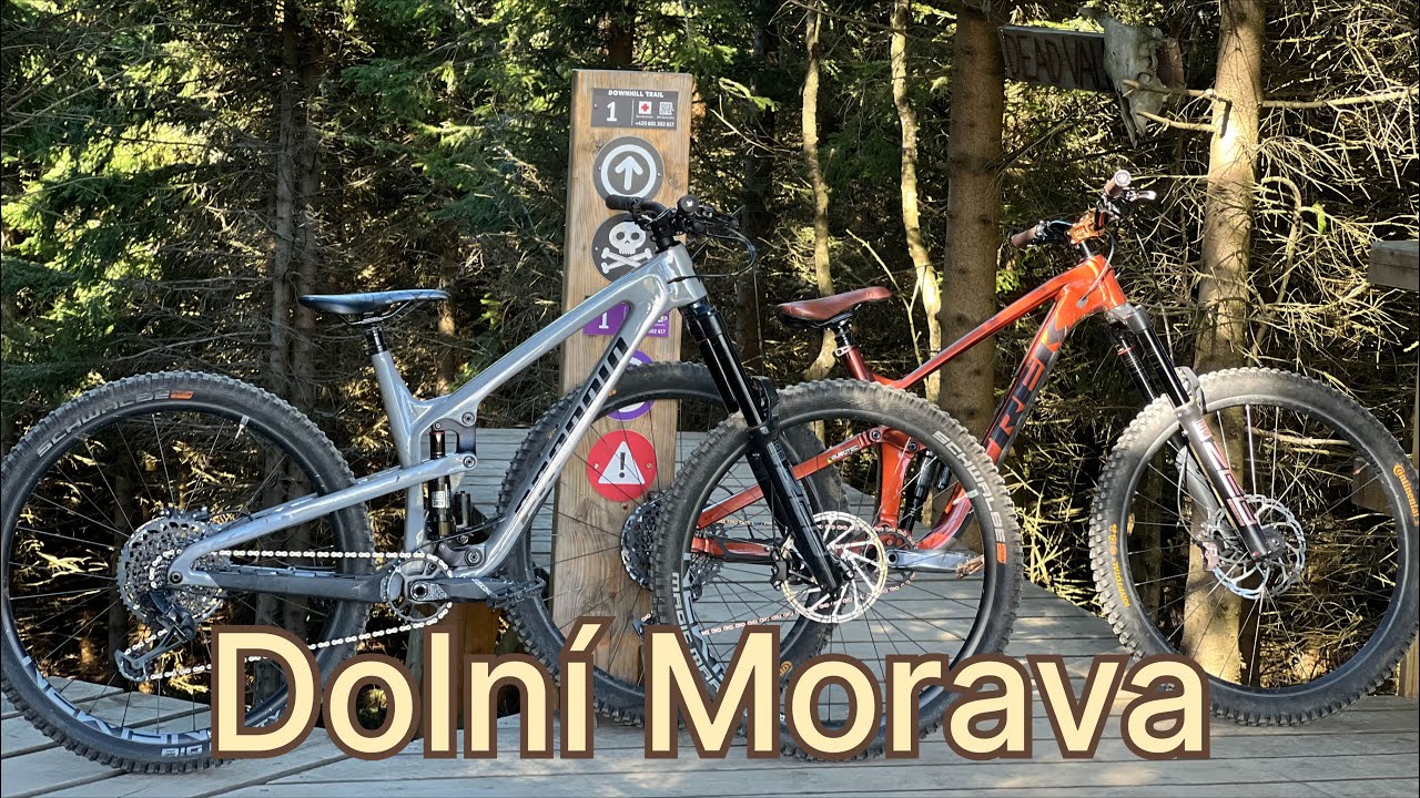 KRÁSNÝ DEN DNA DM!!