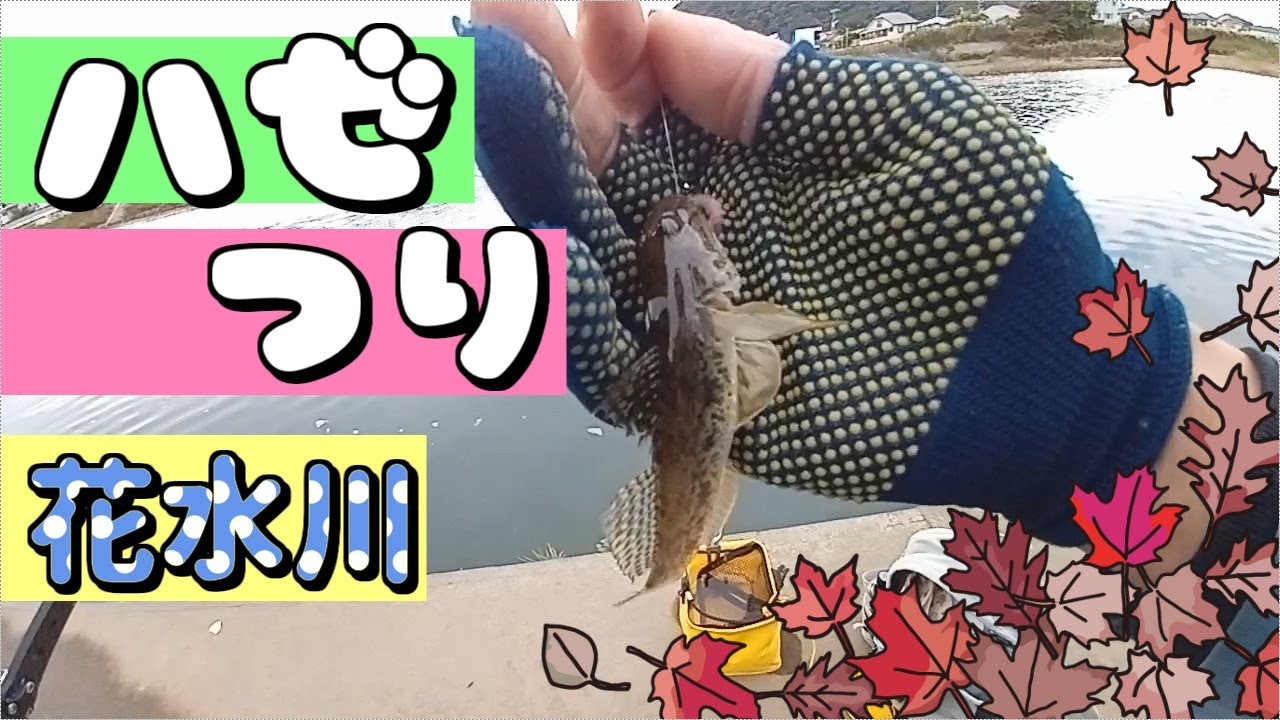 花水川でハゼ釣り【2025年11月初旬】