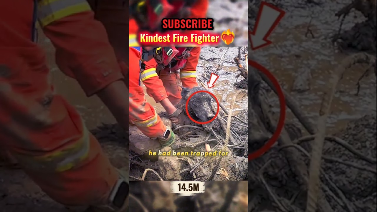 Fire Fighter of The Year🫡🥰