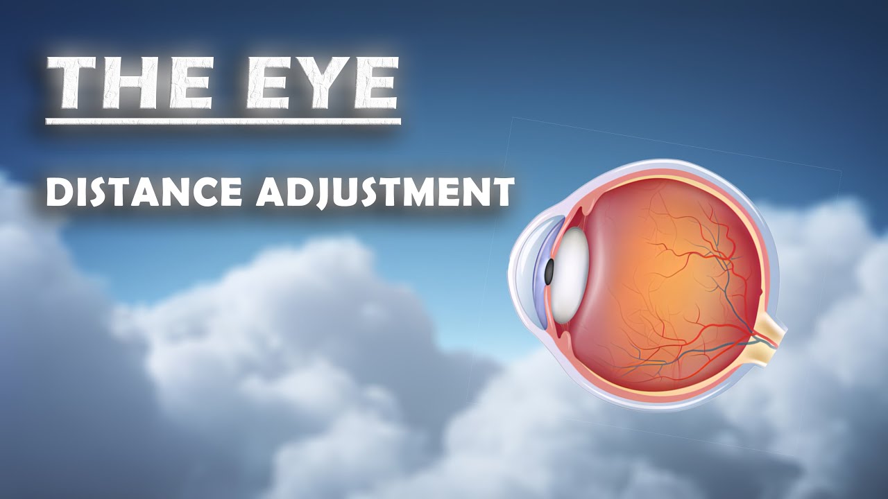 How the Eye works! - Distance adjustment (edit style)