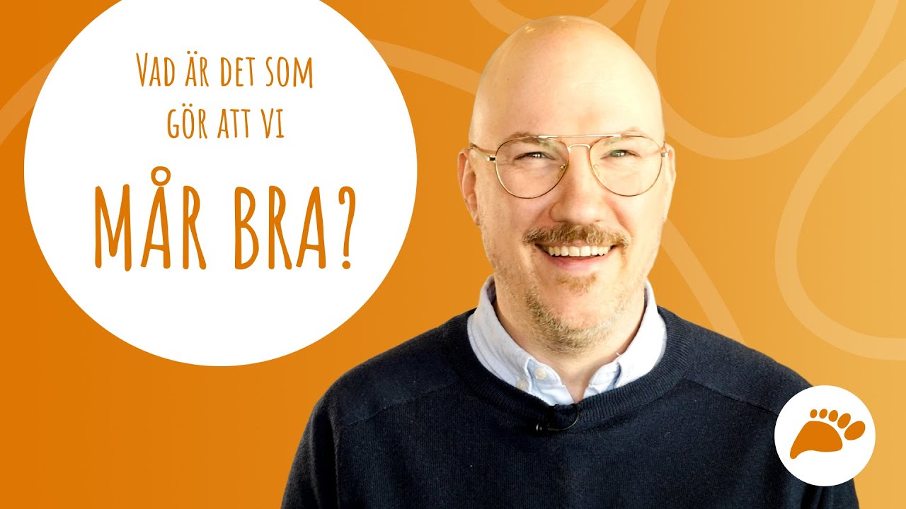 KASAM - k&auml;nsla av sammanhang: Vad &auml;r det som g&ouml;r att vi m&aring;r bra?