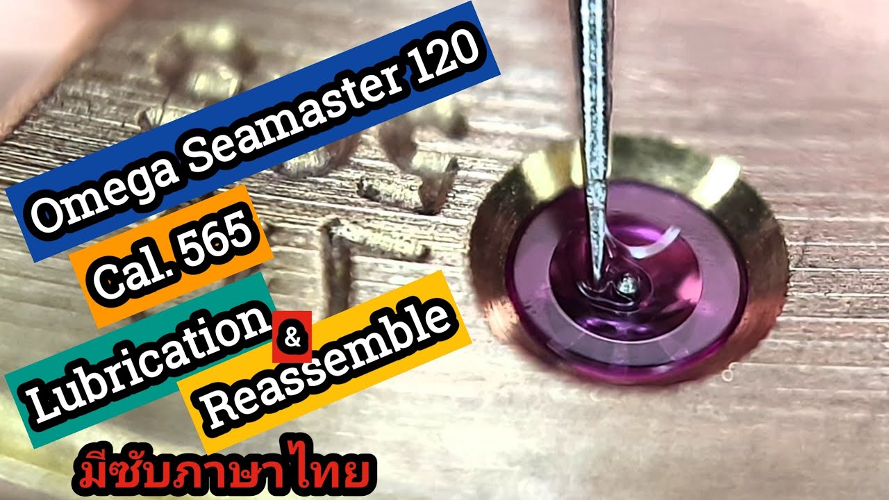 Servicing Omega Seamaster 120 Cal. 565 Part 3 of 3 lubrication / หยอดน้ำมัน Cal. 565