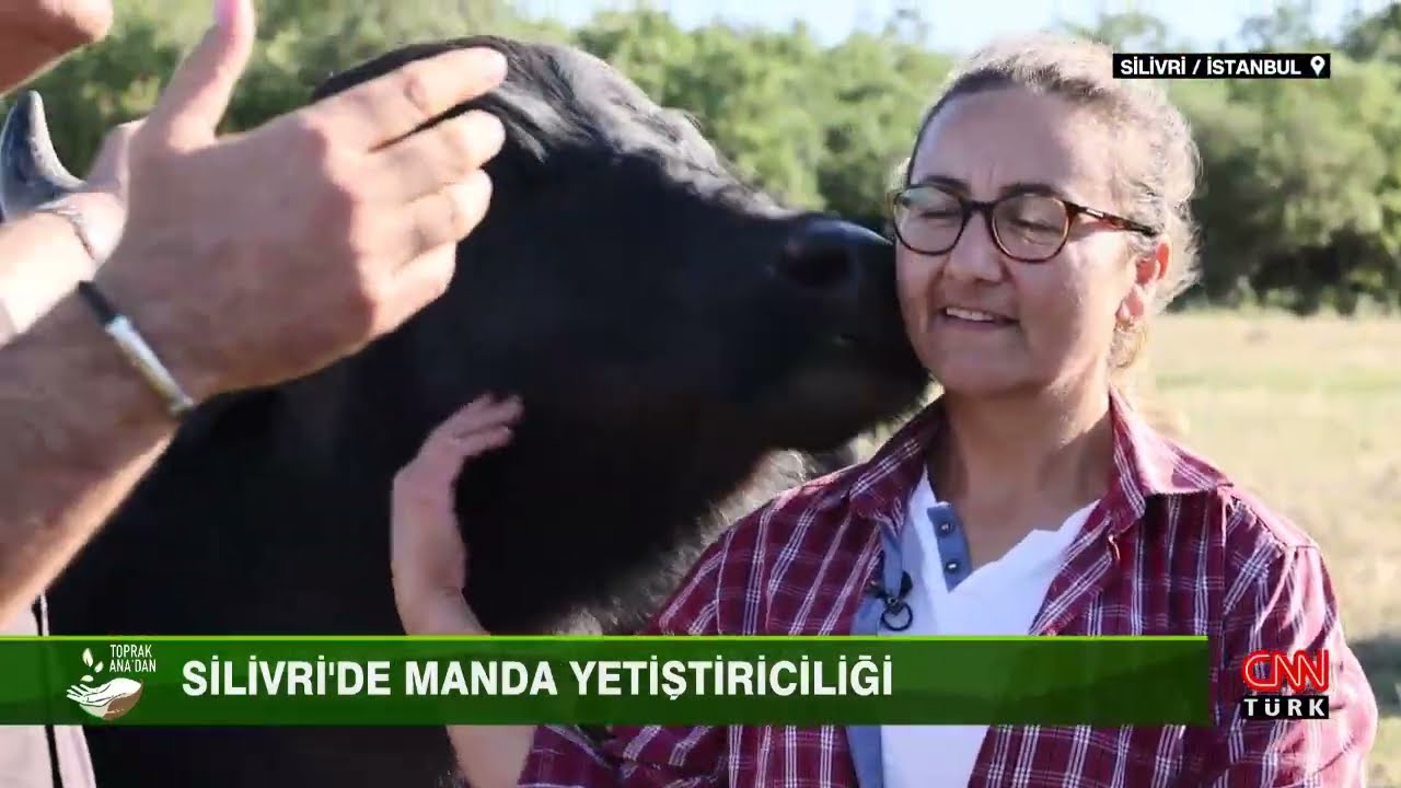 Silivri'de Manda Yetiştiriciliği | Toprak Anadan 15. Bölüm
