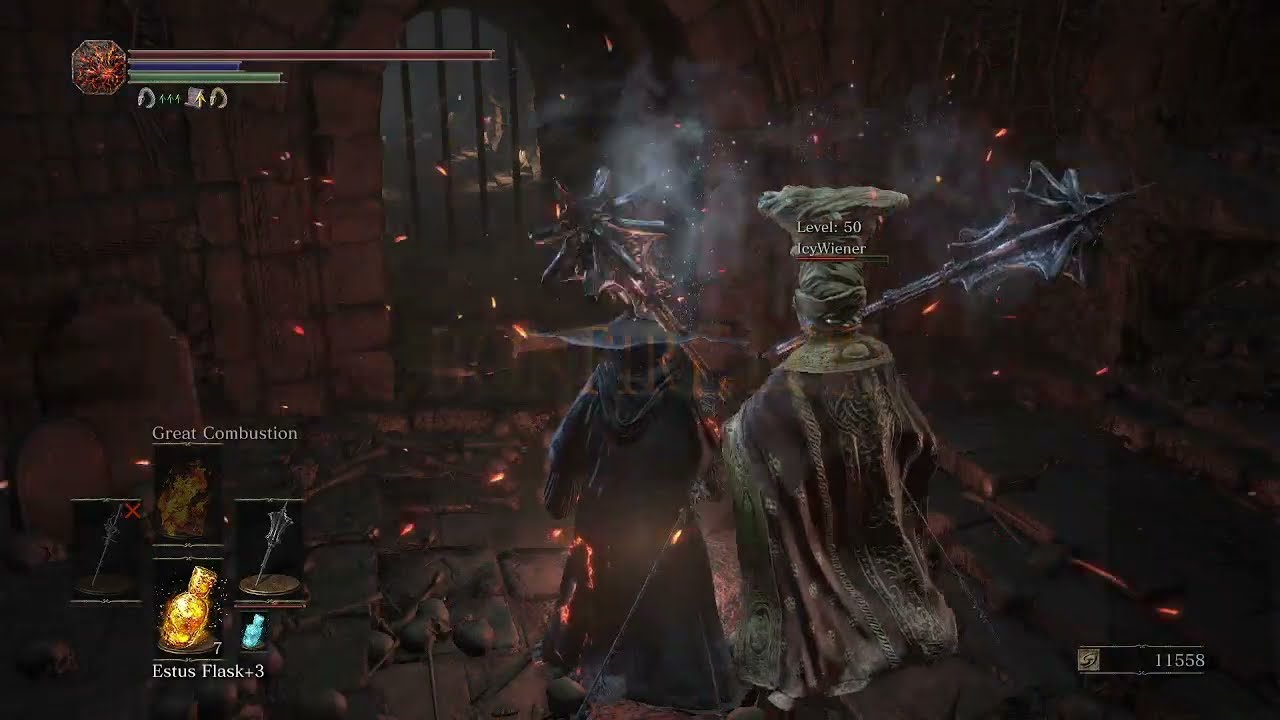 Wolnir? Yeah we're pretty close to the border I guess『 Dark Souls 3 』