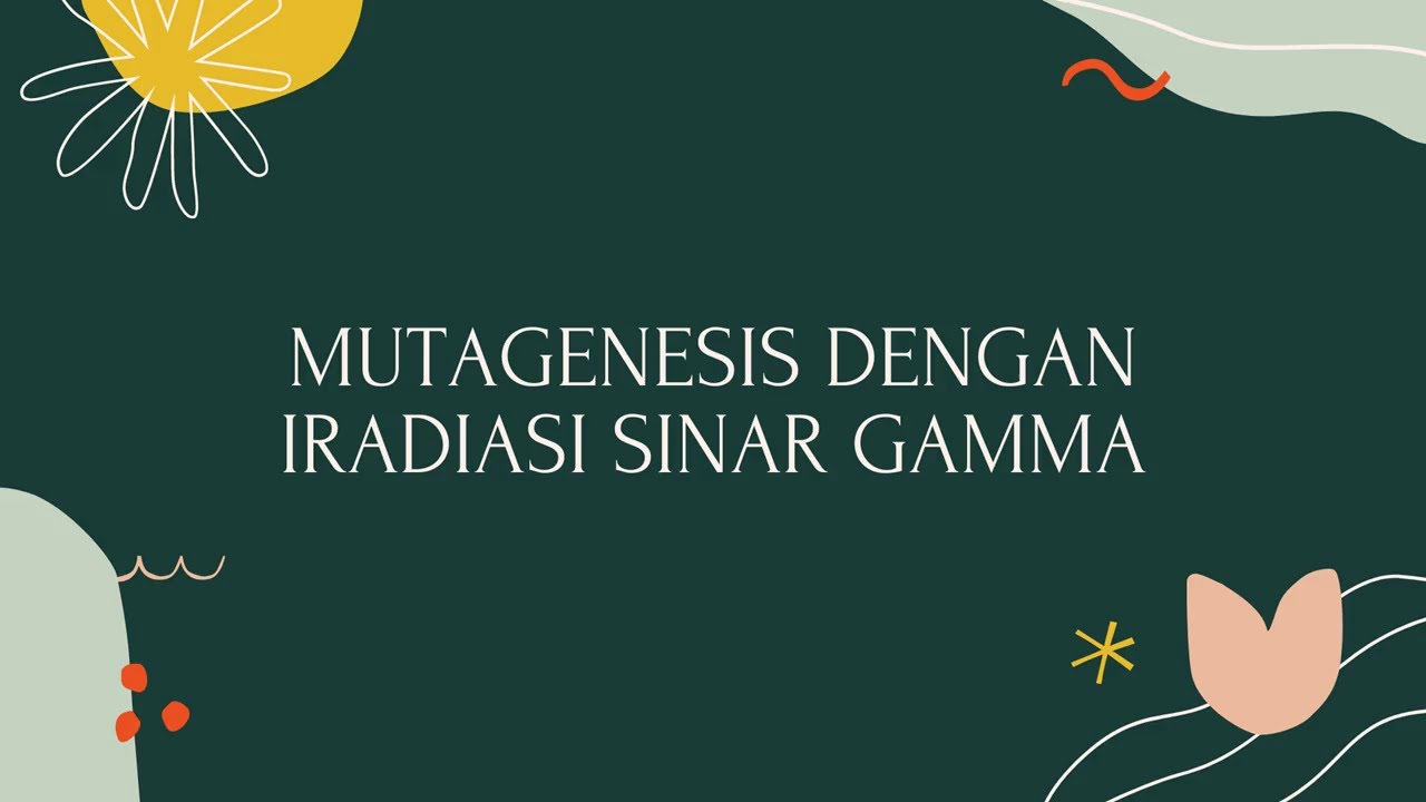 Mutagenesis dengan Iradiasi Sinar Gamma