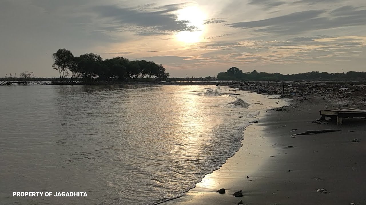 ASMR Ocean Waves | Relaxing Sea Sounds for Sleep & Meditation