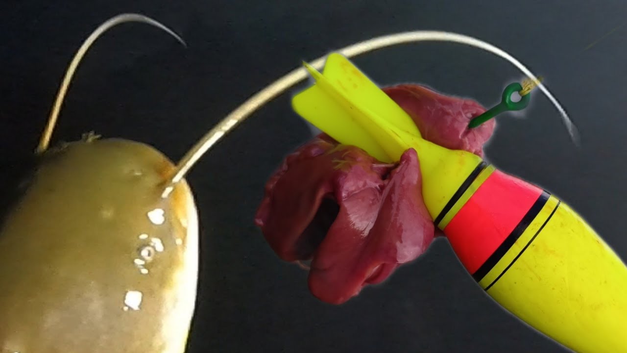 MÓWILI ŻE TU SĄ SUMY . SPRAWDZIŁEM I FAKTYCZNE SĄ  , SUM WZIĄŁ NA WĄTROBĘ w nocy na spławik