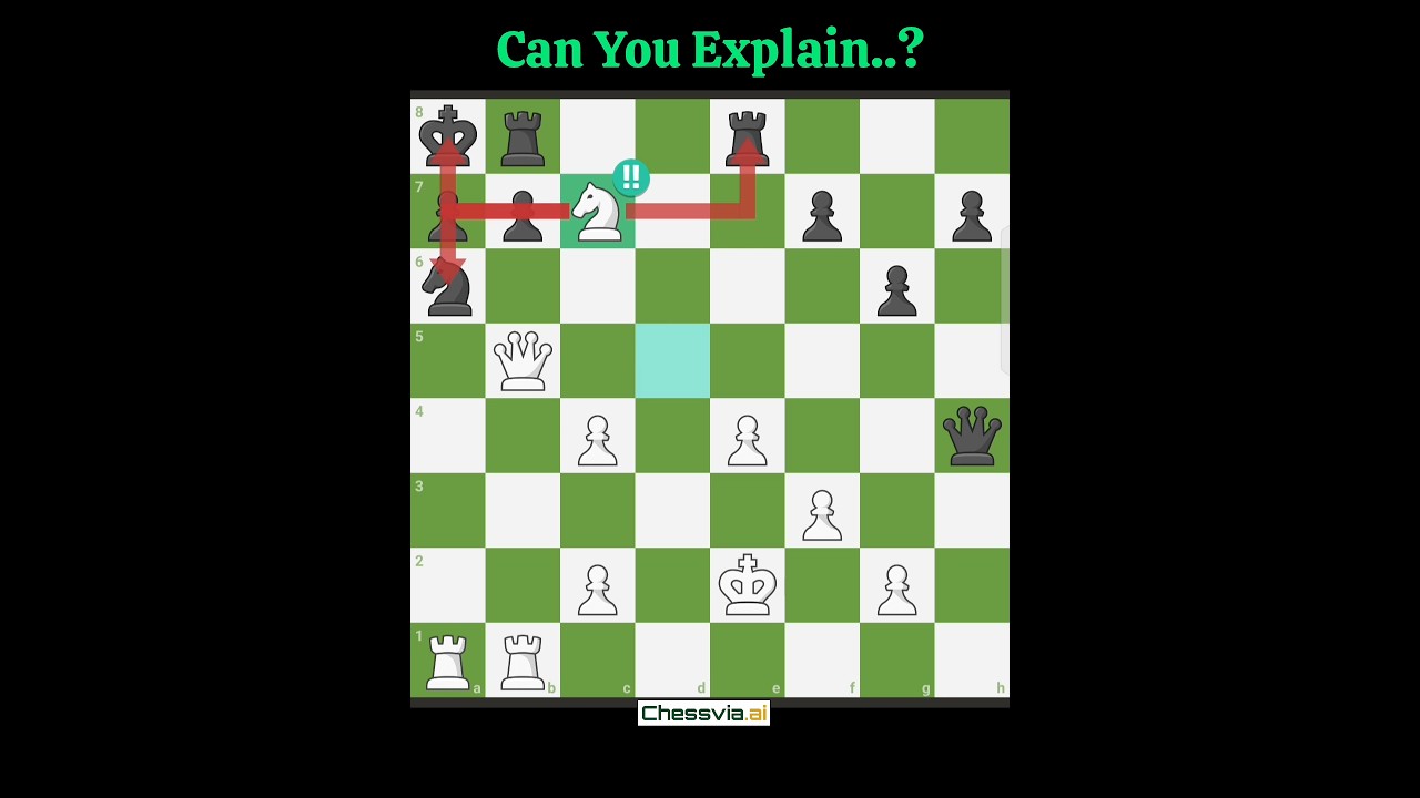 Find The Checkmate Moves 🤔💎 #chess #chessgrandmaster #chessgrandmaster #rook #chessmaster #checkmate