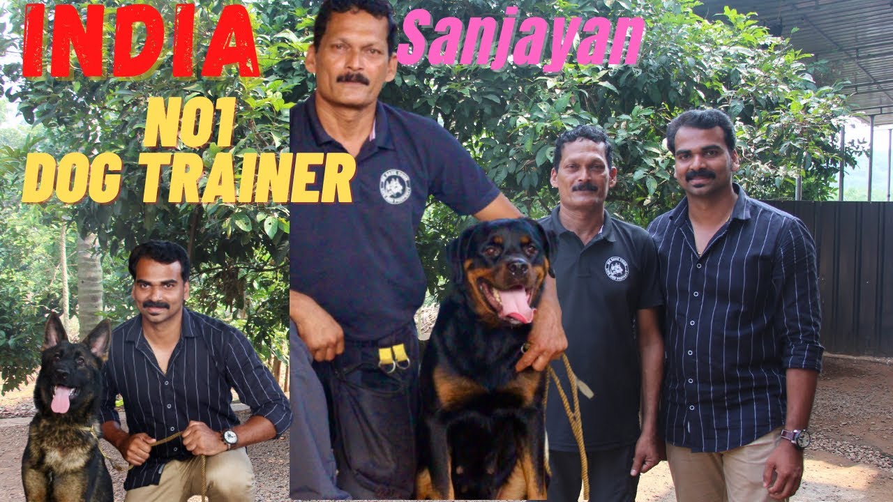INDIAS NO 1 DOG TRAINER  SANJAYAN SIR ,ഏതൊരു മെരുങ്ങാത്ത ഡോഗും sir ന് മുന്നിൽ വെറും പൂച്ചക്കുട്ടി