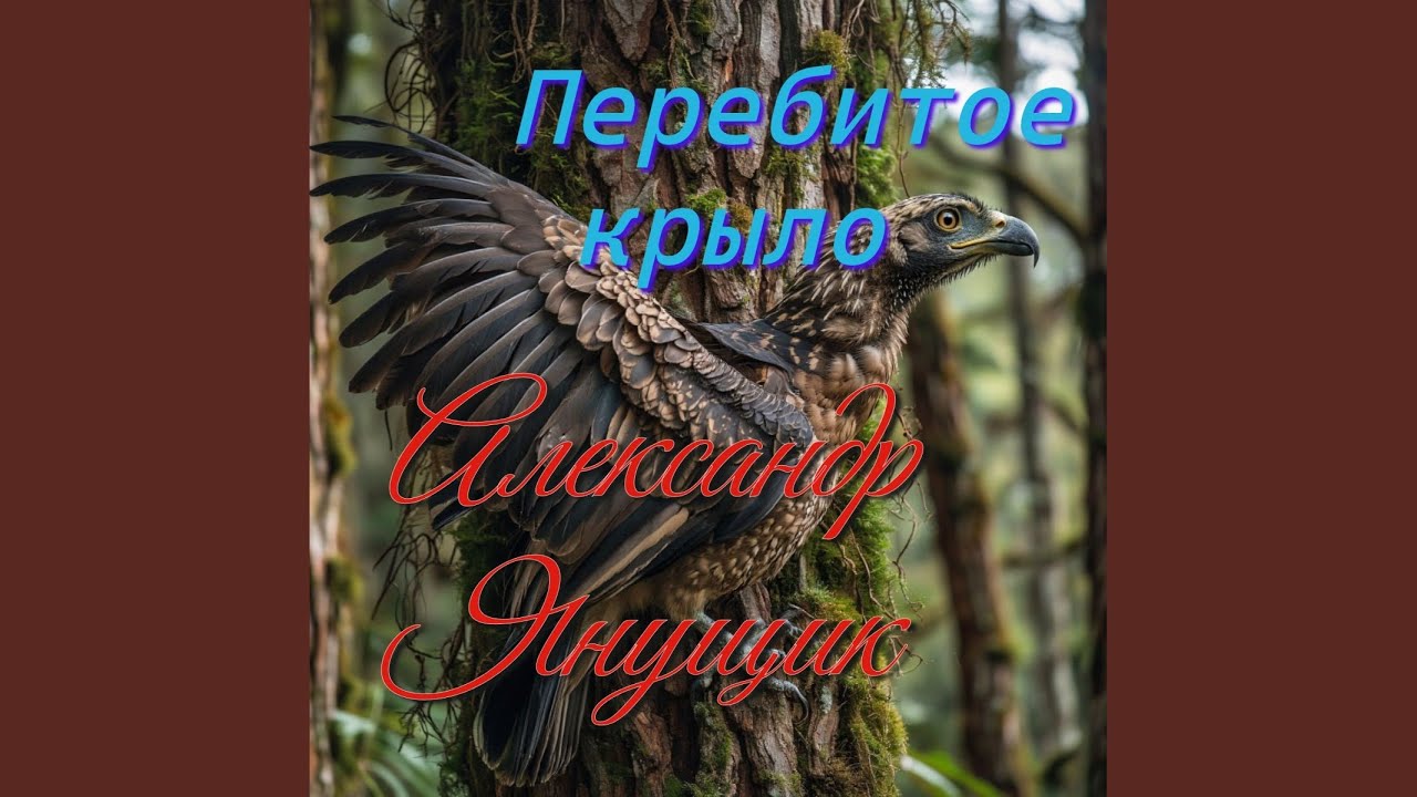 Перебитое крыло