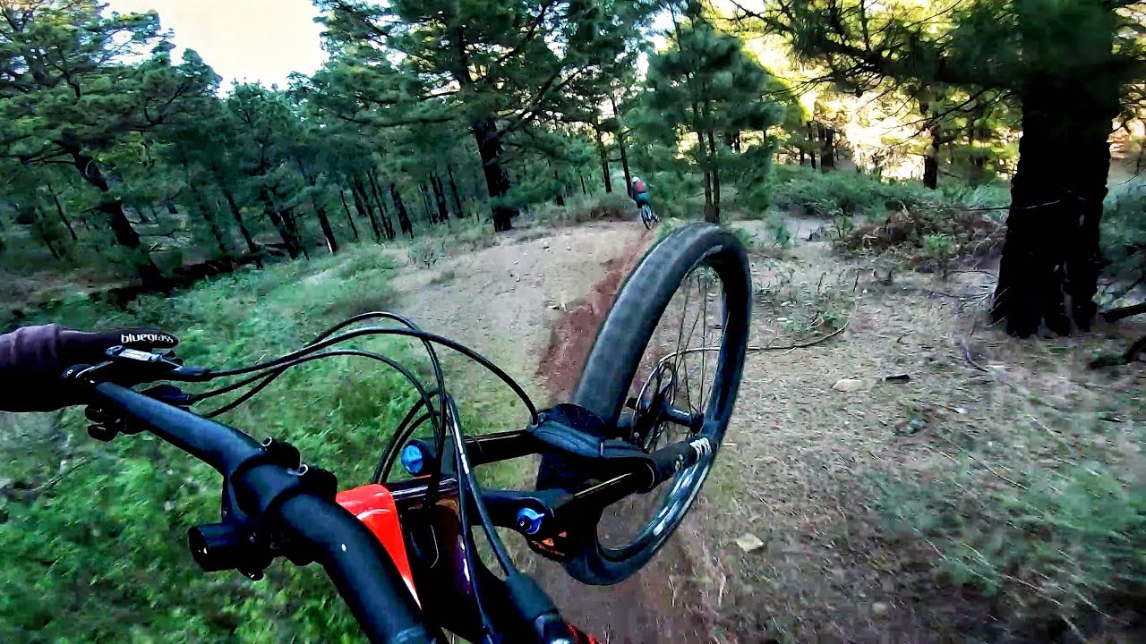 Spanish Fly | La Palma - Canary Island