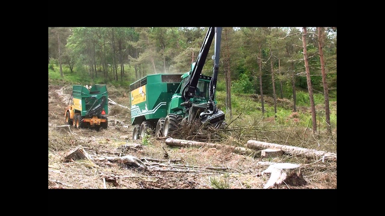 AB Skovservice - Silvatec & Hydrema på skovtur