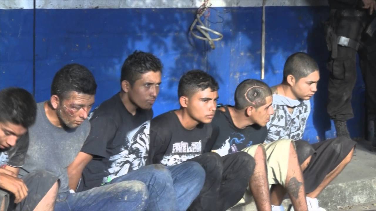 Autoridades Detienen A 11 Pandilleros