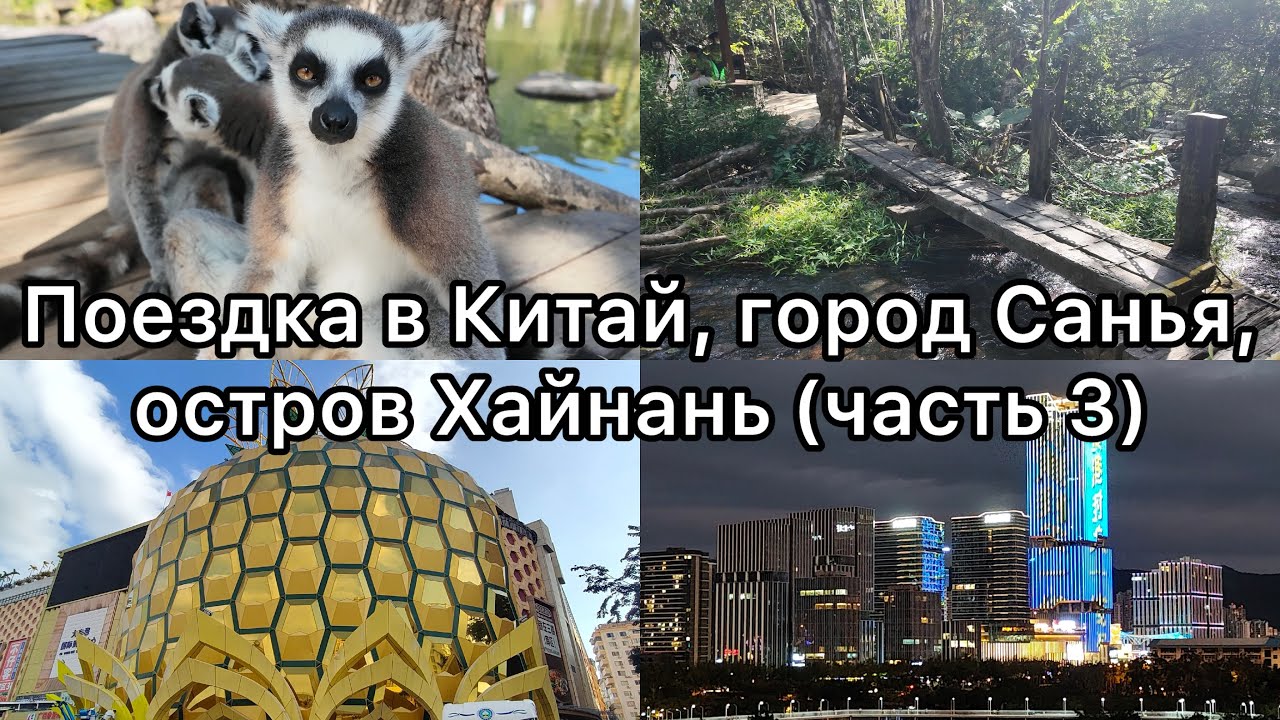 ПОЕЗДКА В КИТАЙ, ГОРОД САНЬЯ, ОСТРОВ ХАЙНАНЬ, ФЕВРАЛЬ 2026.