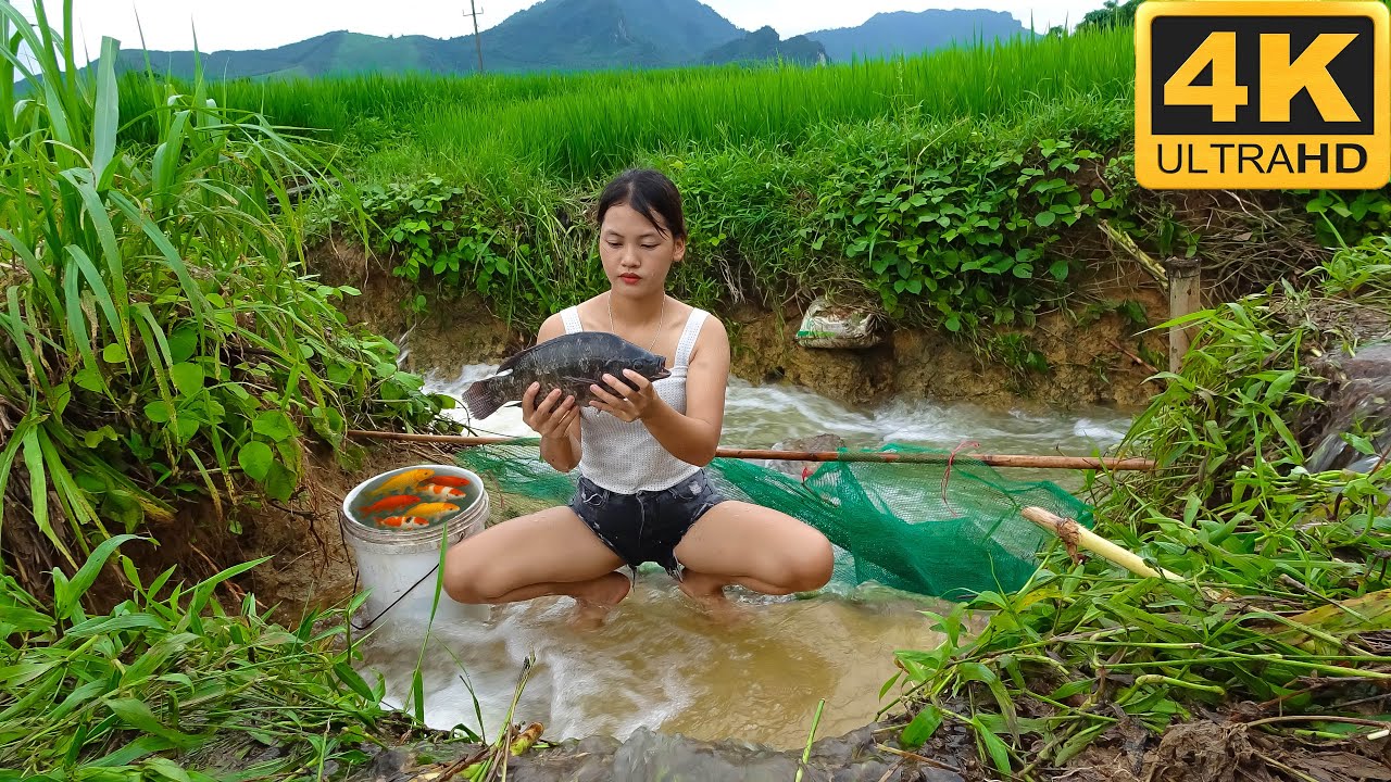 Menina pescando com tarrafa artesanal pega peixe enorme no rio – Vídeo 4K | Emily da Pesca