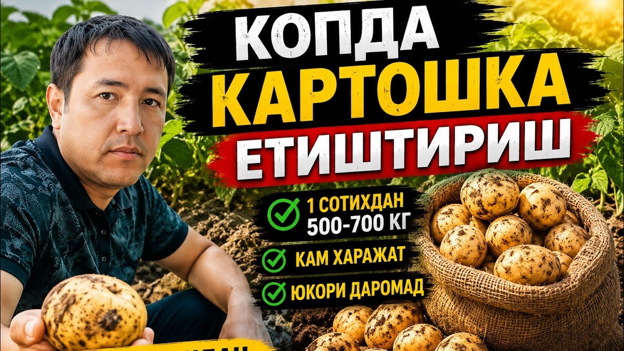 КОПДА КАРТОШКА ЕТИШТИРАЁТКАН АНДИЖОНЛИК БОЛЛАР @OybekKosimovuz