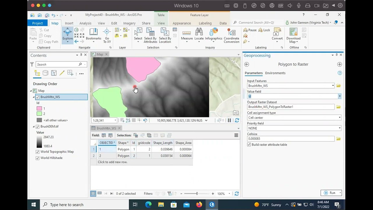 arcgis pro convert polygon to raster