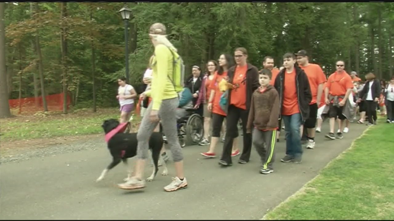 Hundreds of people walking for multiple sclerosis in Westfield