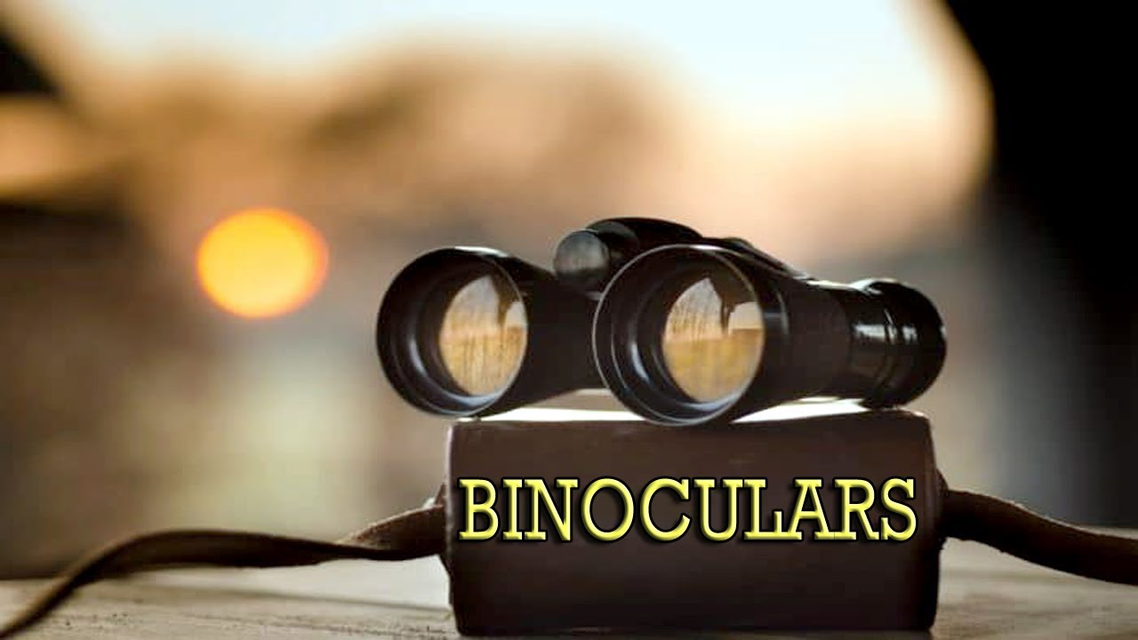 Binoculars | Brainfeed Magazine