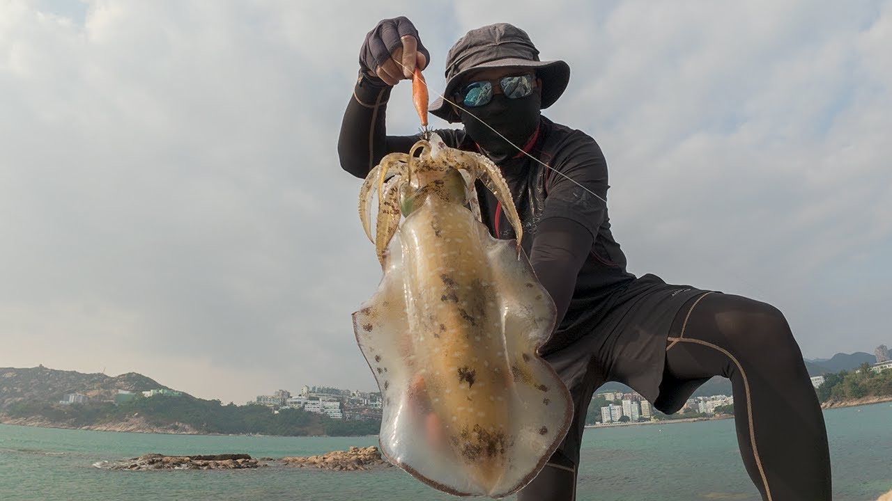 【Fit魷】▾ 步兵 ▾ 2025最後3連擊 ▾ 大尾魷 ▾ 良型 ▾ catch & release ▾