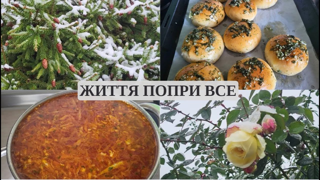 Життя у прифронтовому Запоріжжі | Холодець, пампушки і будні під обстрілами
