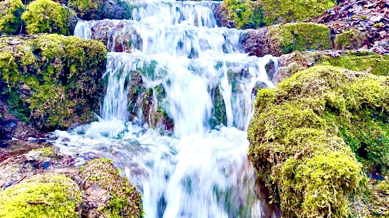 Waterfall Sounds for Nervous System Reset | 2 Hours Natural White Noise
