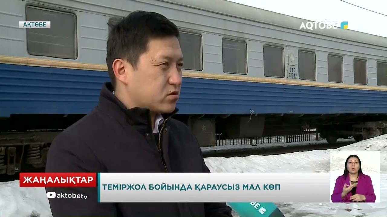 Теміржол бойында қараусыз мал көп