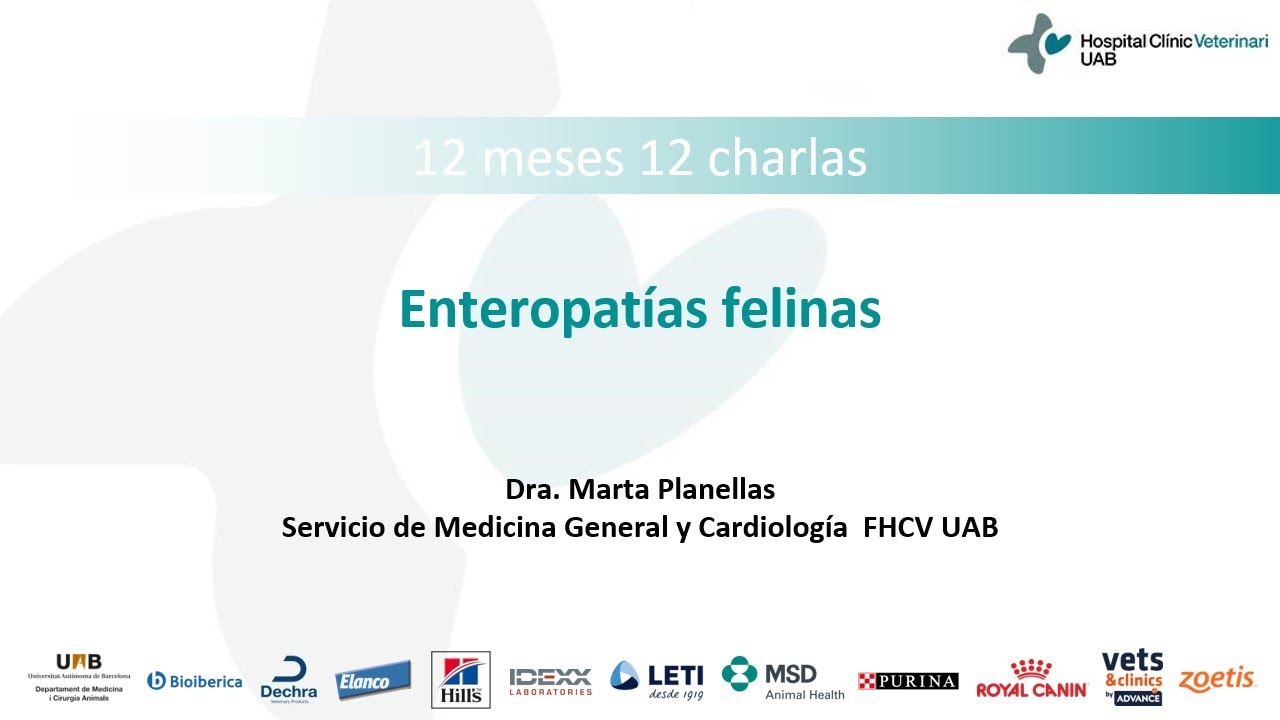 12 meses 12 charlas. Enteropatías felinas