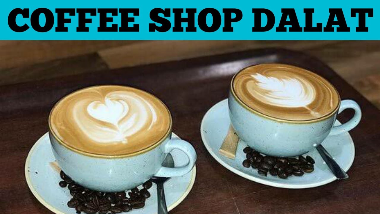 Top 5 Best Coffee Shops And Cafes In Dalat | Coffee Shop Da Lat Vietnam | Advotis4u