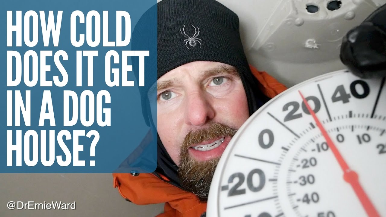 How Cold Does It Get in a Dog House? Dr. Ernie Ward
