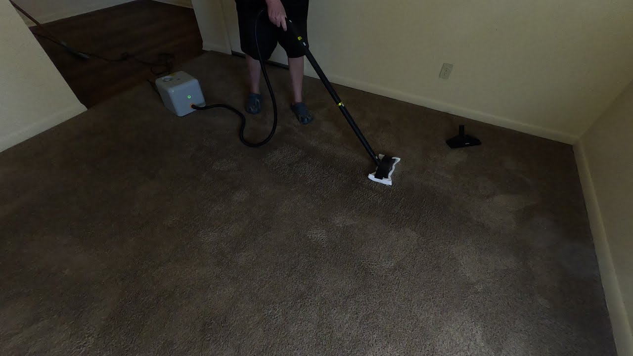 Dupray Neat PLUS Steaming Worh Carpet and Hard Floors!