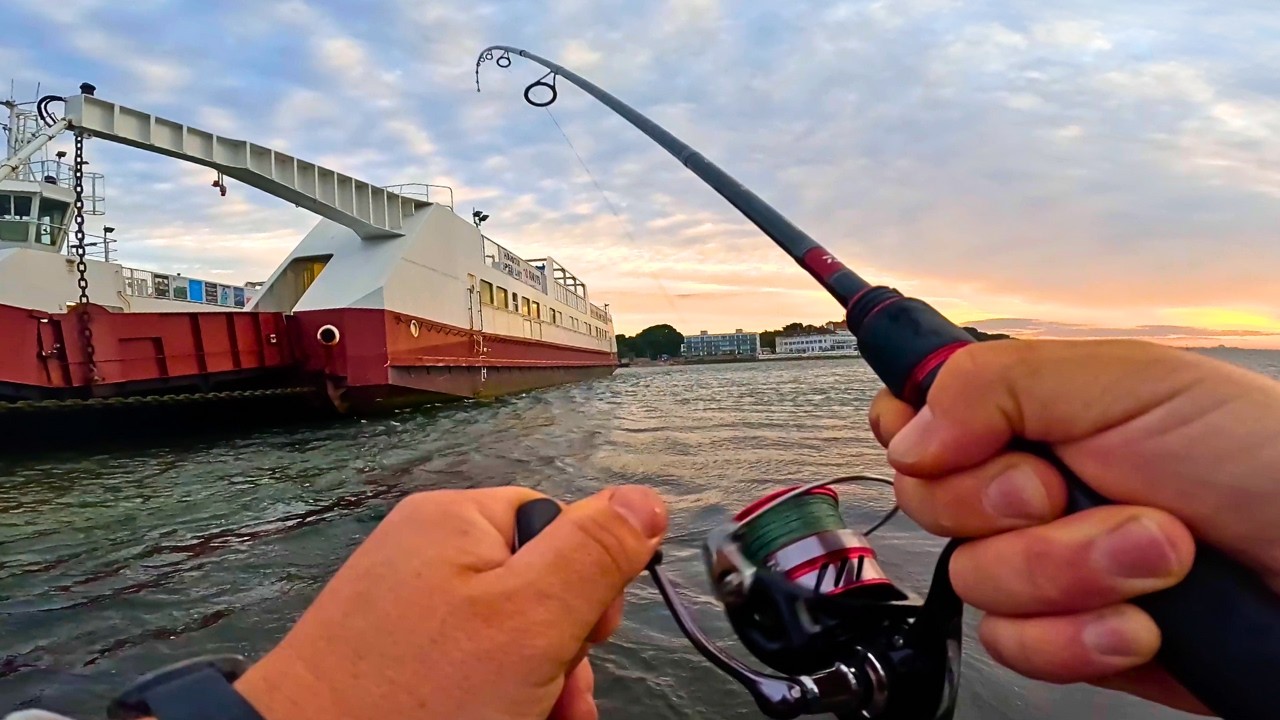 Catching Bass & Mackerel on Lures! Fishing Adventure in Studland, Dorset