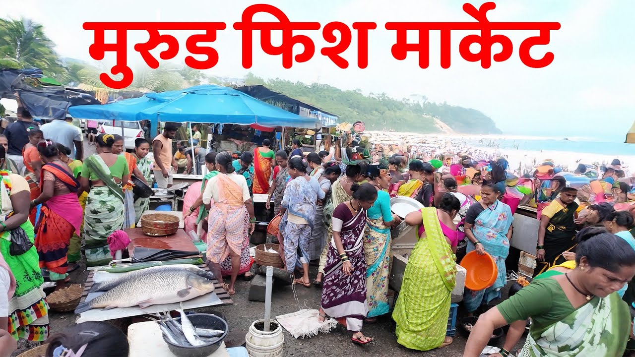 Murud-Alibaug Wholesale Fish Market | affordable Fish Prices | Fish Market of Alibaug