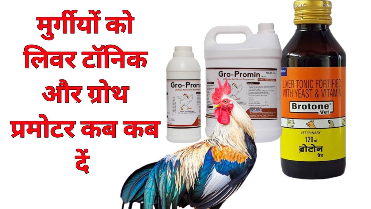 G promine poultry medicine । brotone liver tonic ।murgi palan hindi । sonali, kurkure ffg । chiks ।