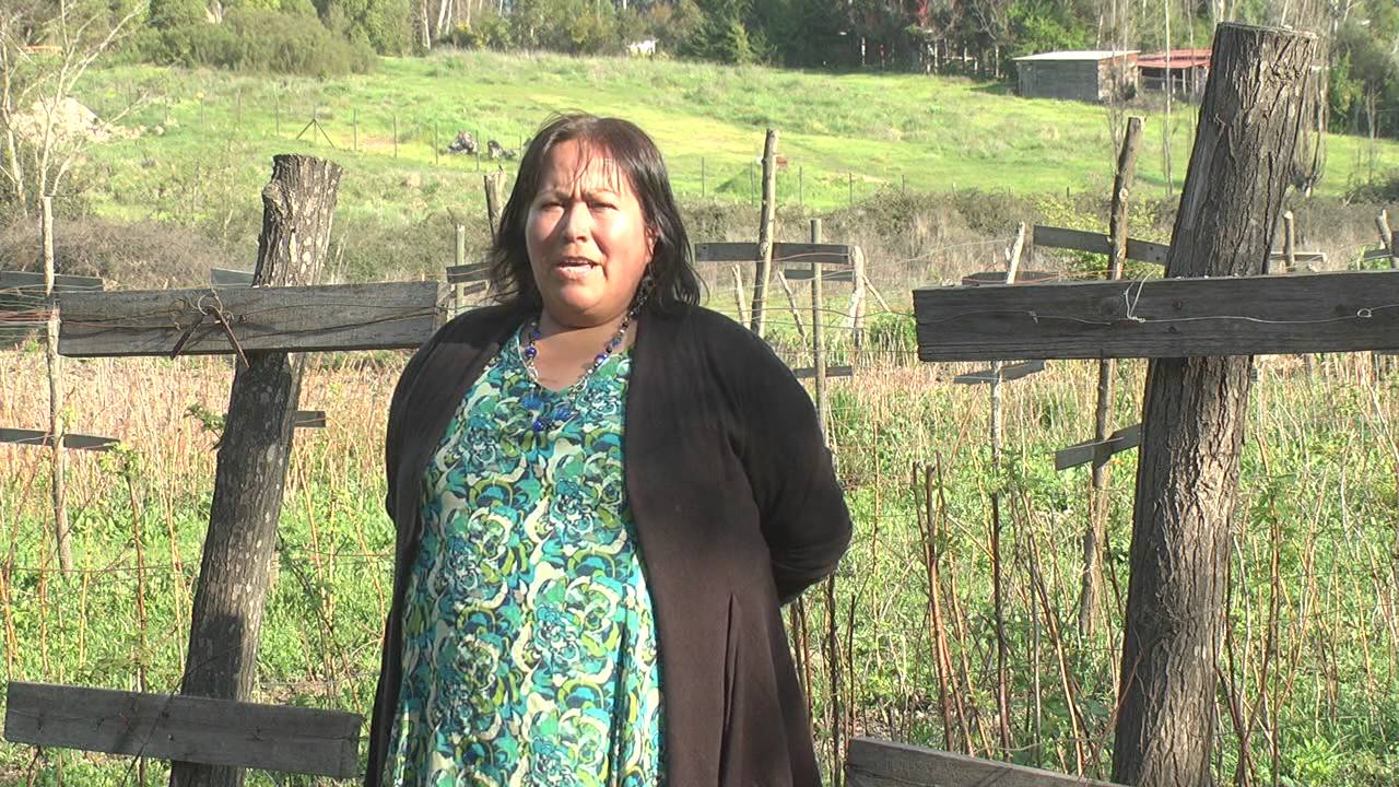 Erika Farías - Productora de Frambuesas