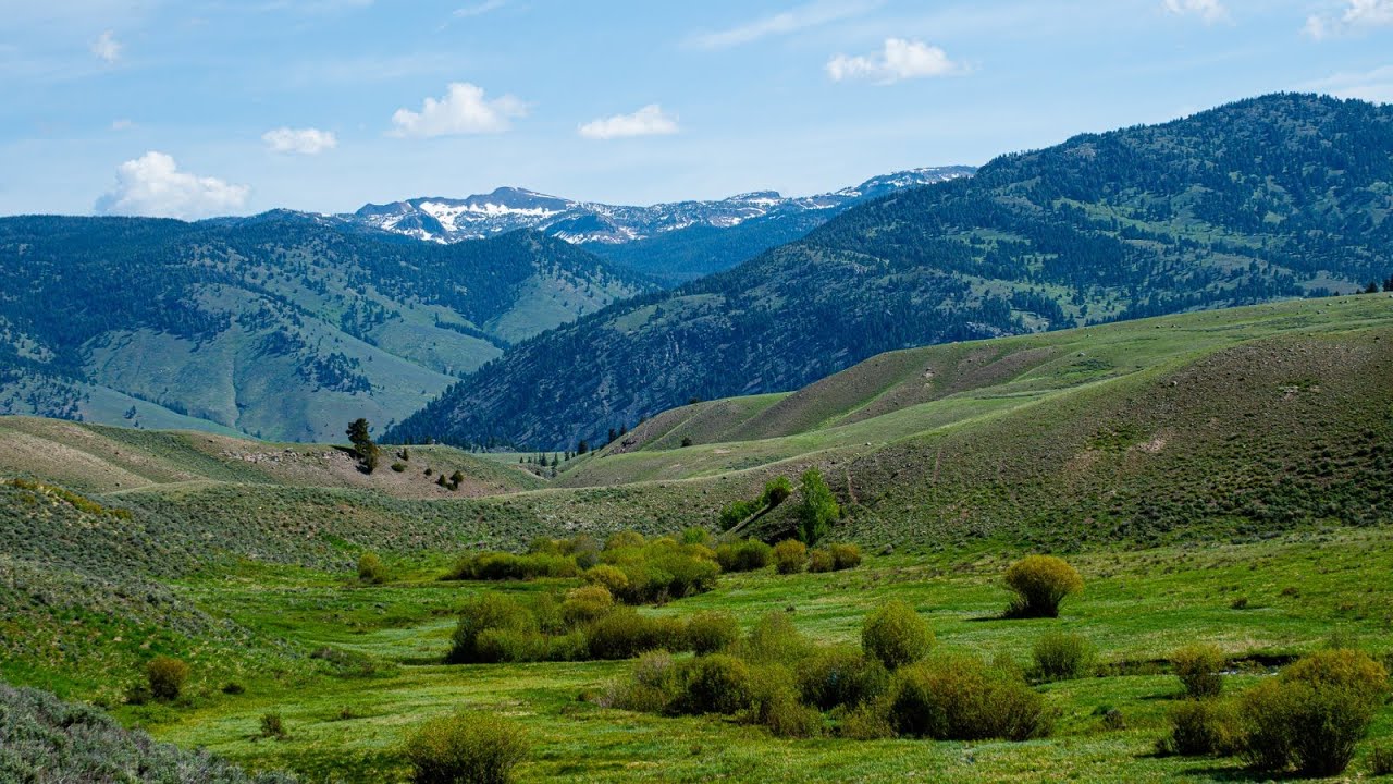 Backpacking Blacktail Creek to Yellowstone River