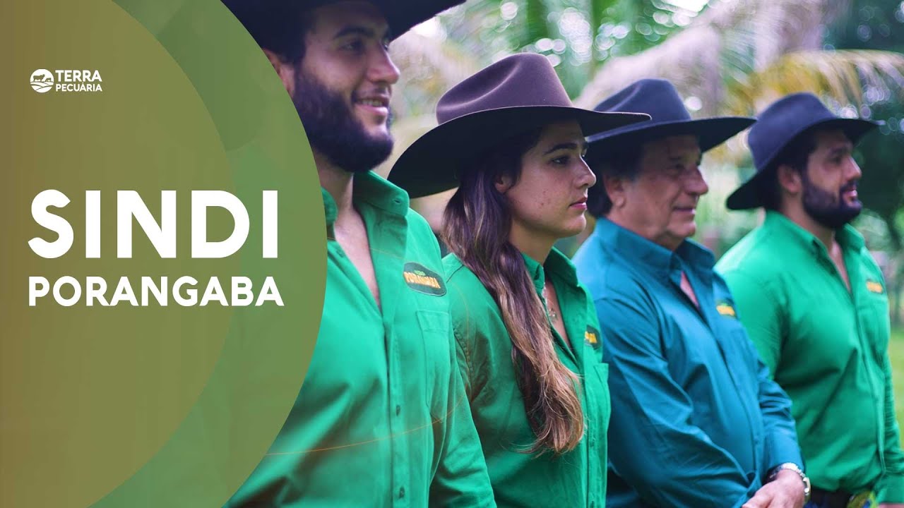 TERRA PECUÁRIA - 5º LEILÃO SINDI PORANGABA