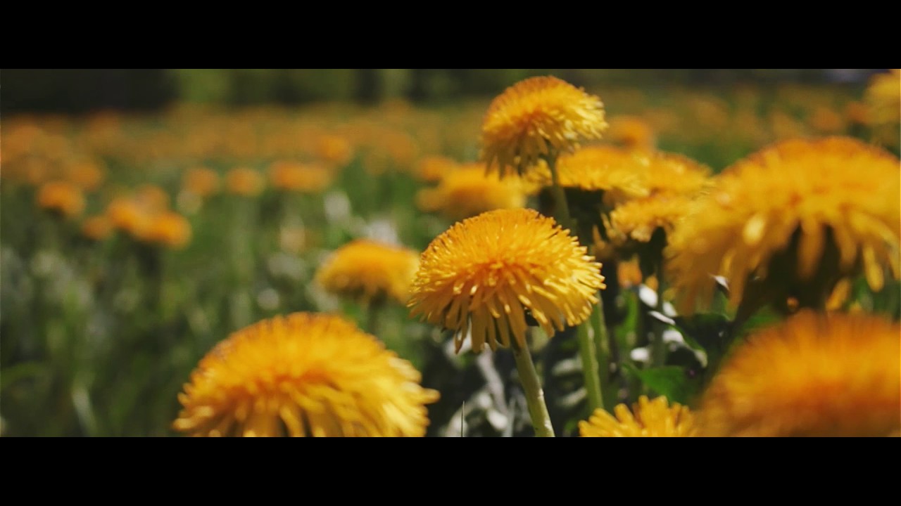 R2RS I Ritvars - Pavasaris (official video)