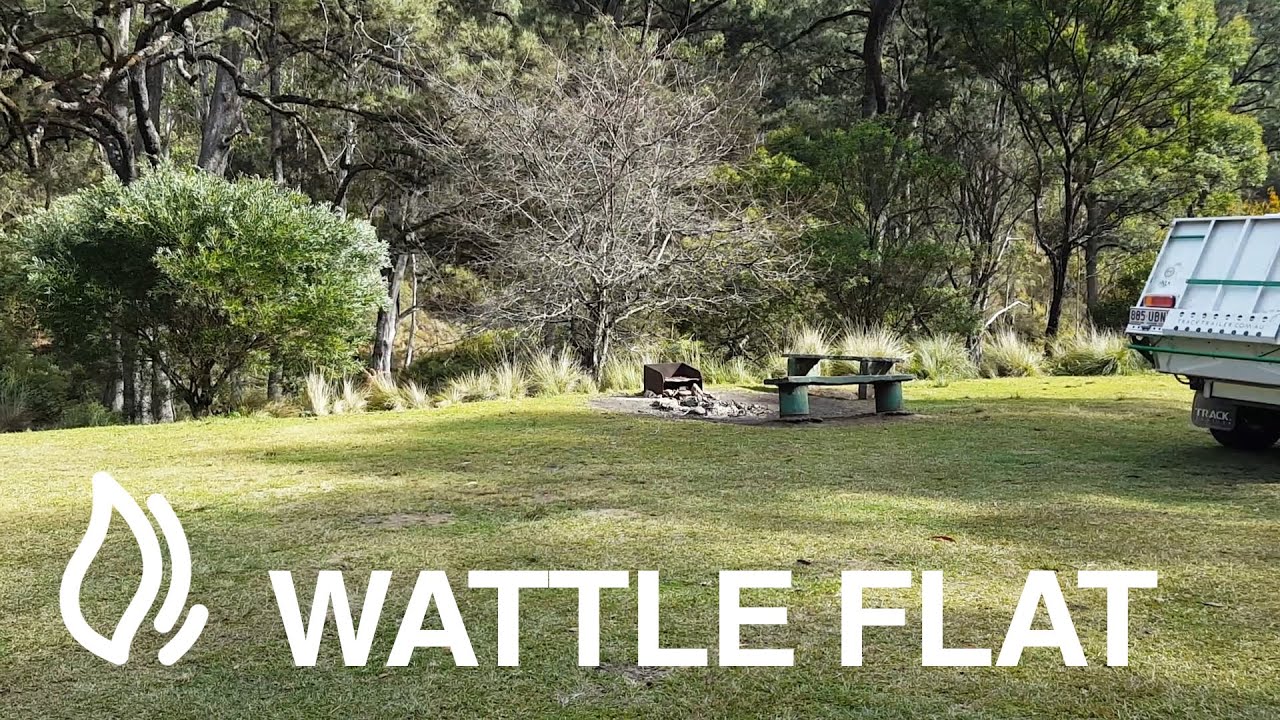 Wattle Flat Campground - Styx River State Forest, New South Wales