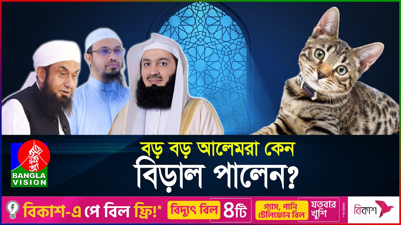 আলেমরা কেন বিড়াল পালেন? | Cat in Islam | Cats | BanglaVision