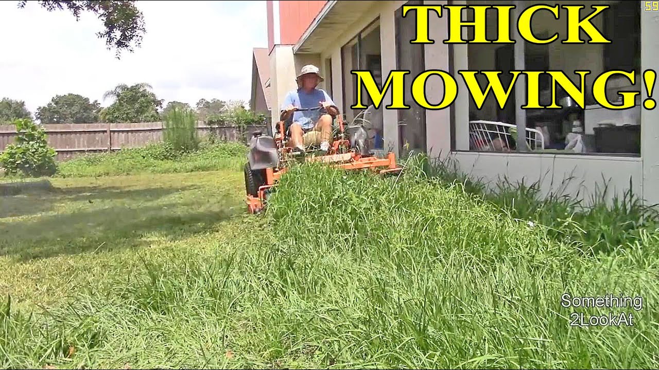 I mowed this OVERGROWN School Teacher's yard for FREE!