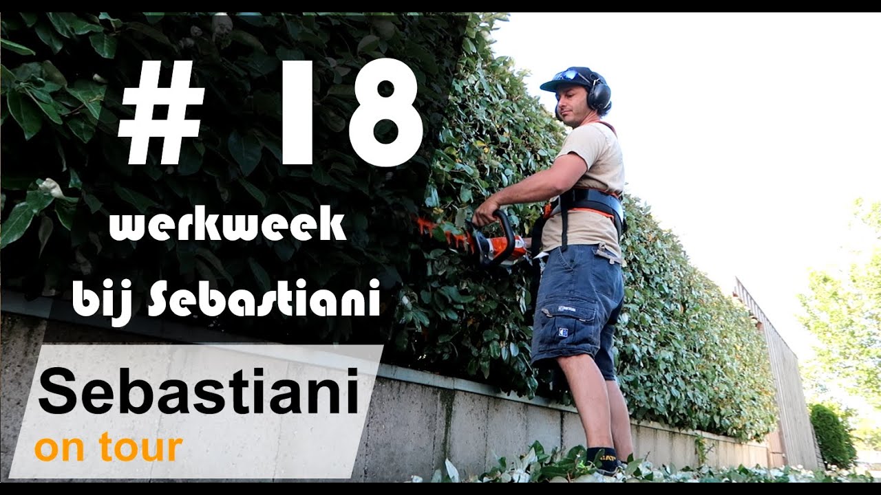 Een werkweek bij Sebastiani SEBASTIANI ON TOUR #18