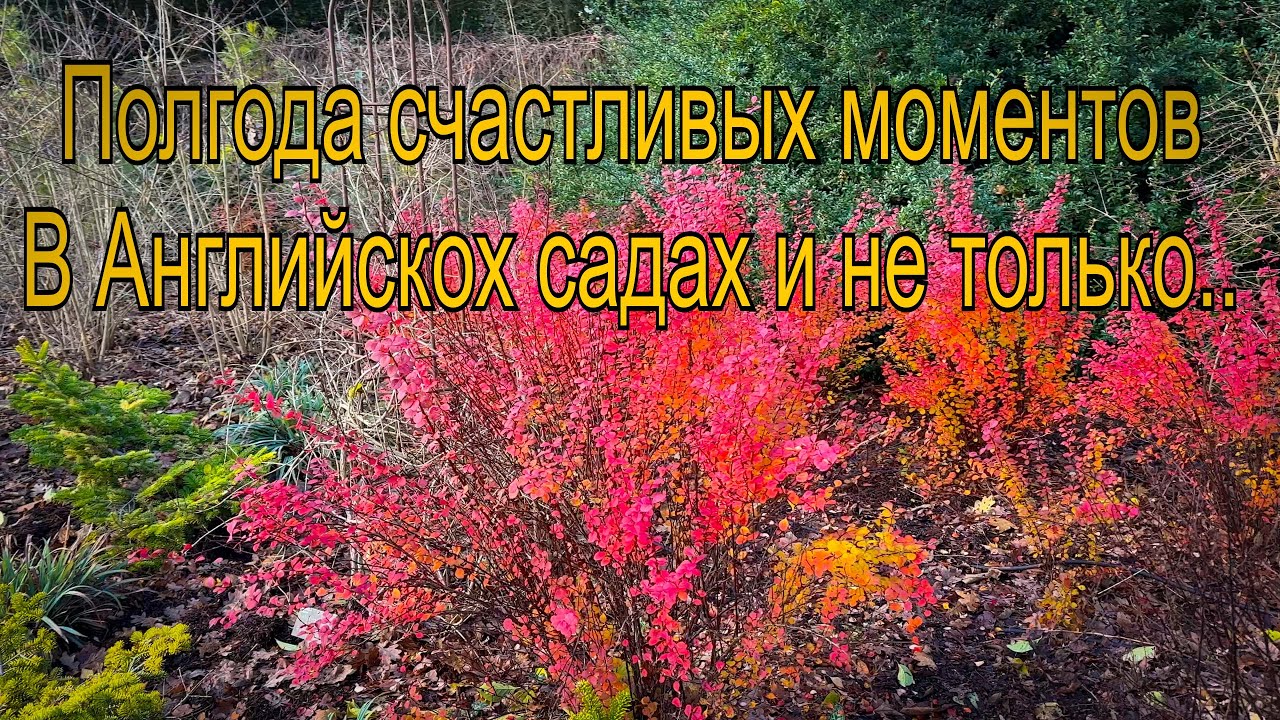 Vlog 442 - Полгода счастливых моментов на нашем канале