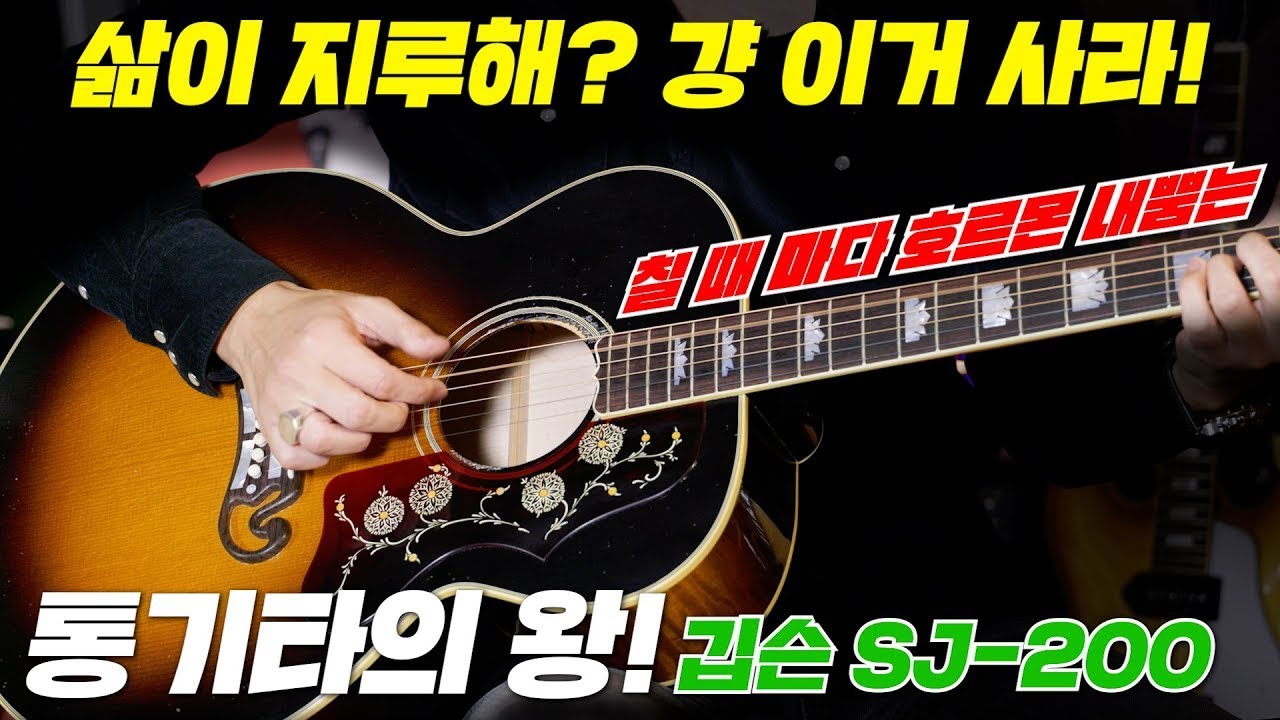 👑킹 오브 플랫탑, 깁슨 '슈퍼 점보' 200💪 웅장이 가슴해지는 기타. 샀다. 질렀다. Gibson SJ-200 / 갱년기 특효 남성호르몬 뿜뿜 도파민 콸콸