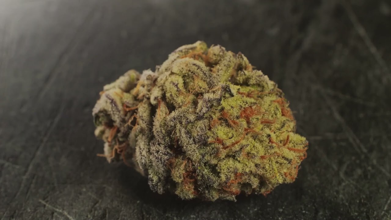Berry Gelato Marijuana Strain