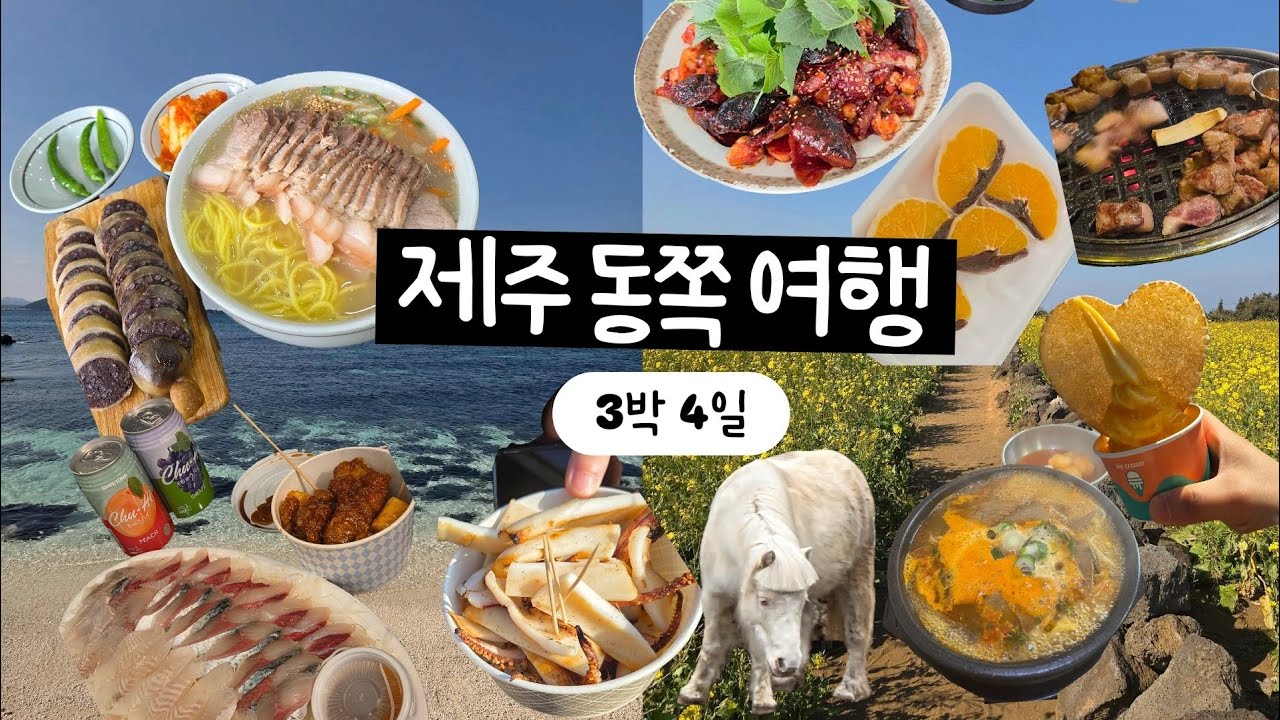 제주 동쪽 여행 브이로그 3박 4일, 실패없는 맛집과 힐링 jeju 🍊