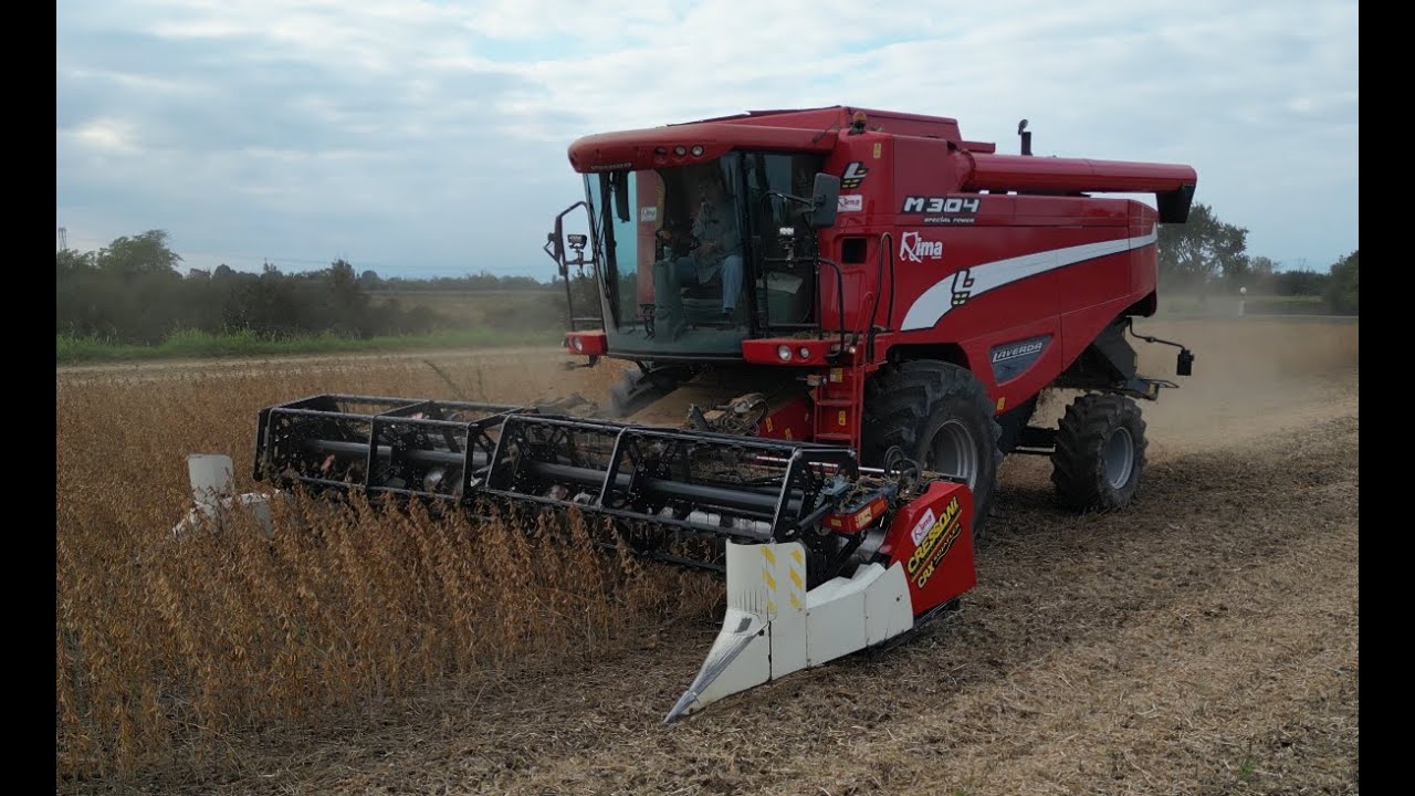 Real Farming Laverda M304 Special Power - Trebbiatura Soia con Cressoni CRX Sojaflex -