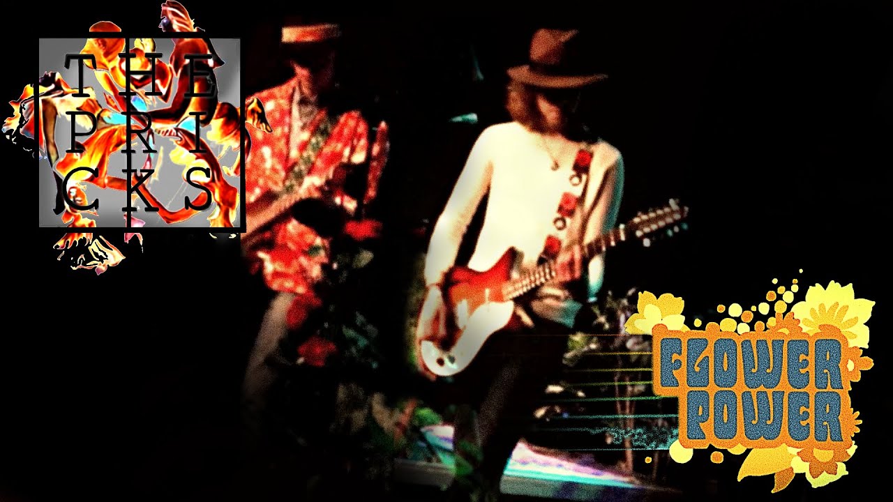 The Pricks - Flower Button Live at the Flower Power concert