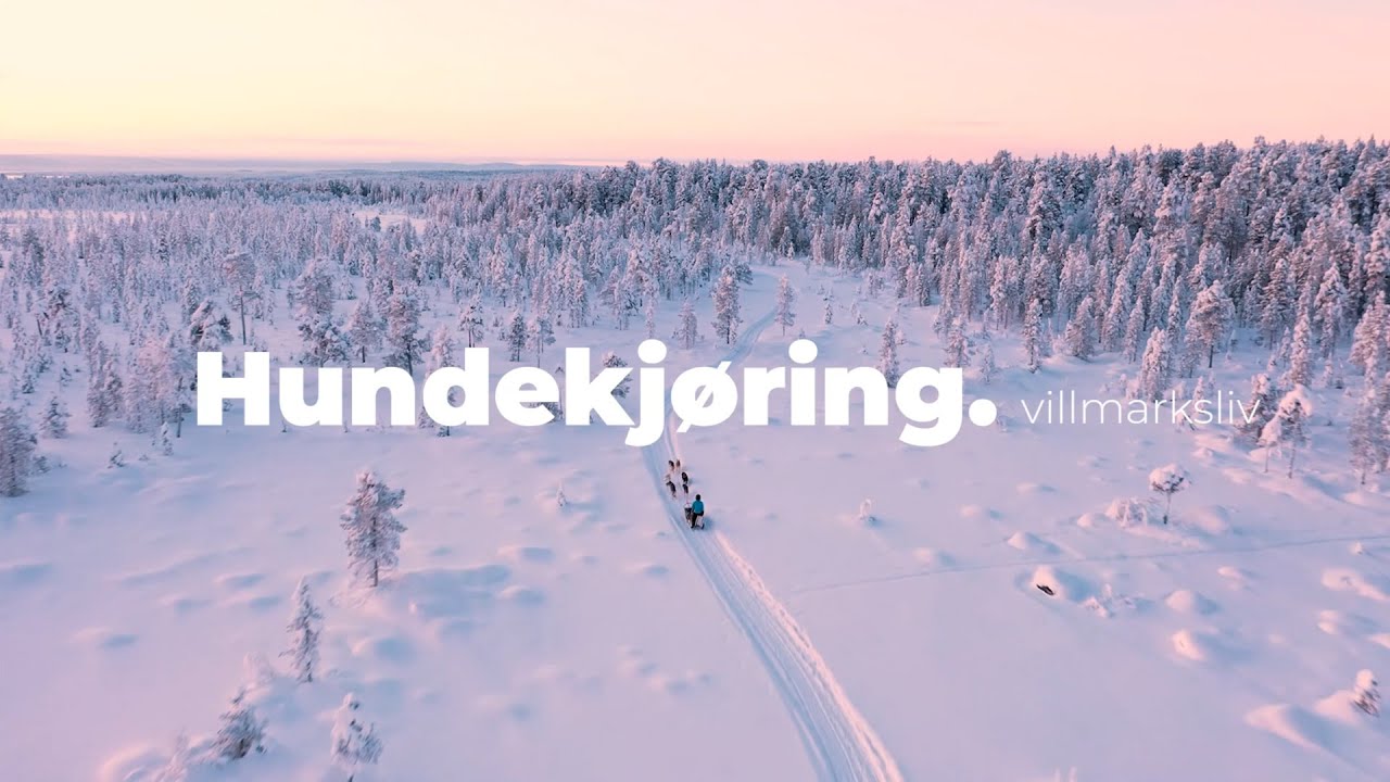 Hundekjøring og villmarksliv - Pasvik Folkehøgskole